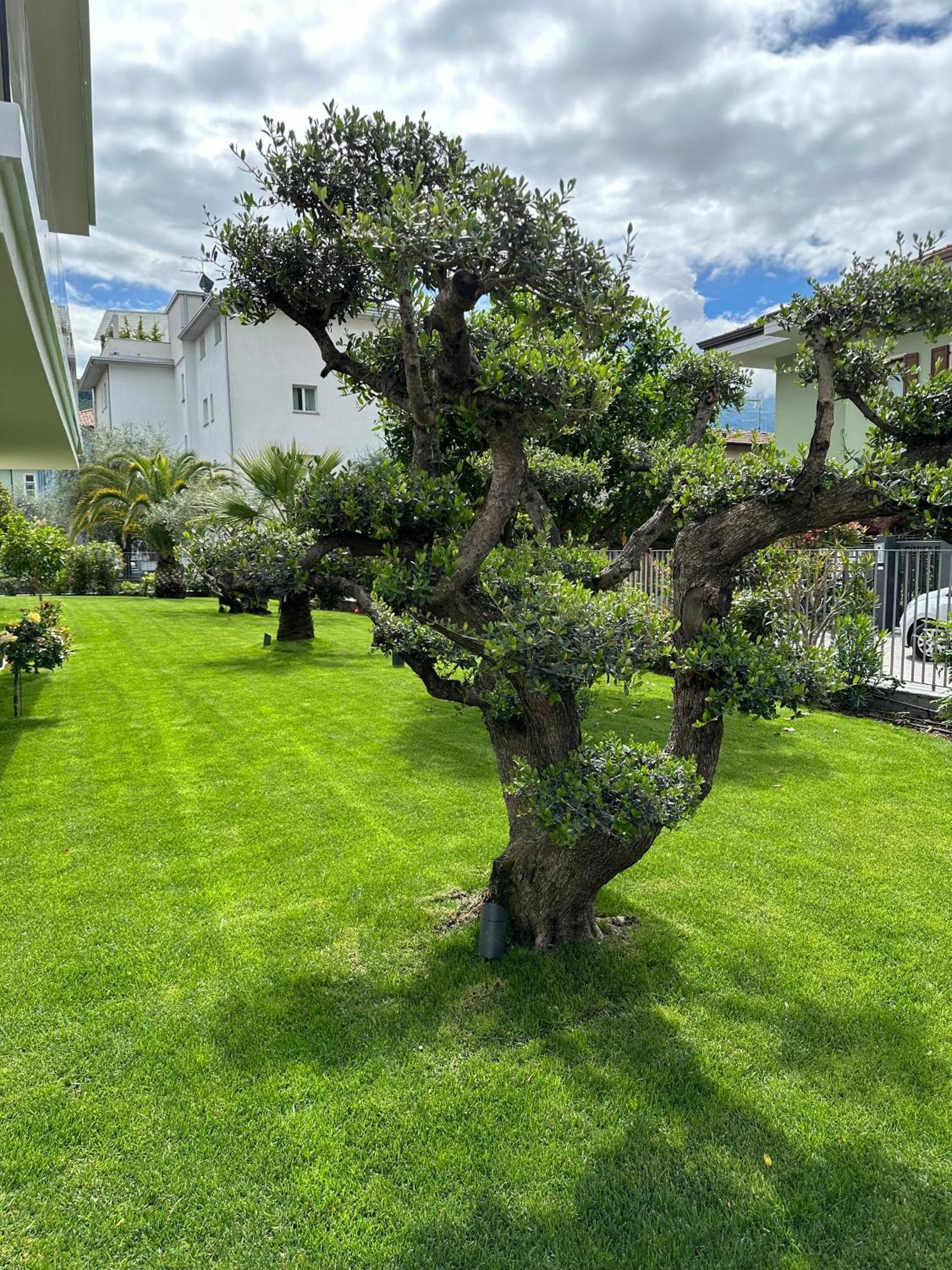 Residence Villa Dalila - Appartamento Dalila Riva del Garda Exterior photo